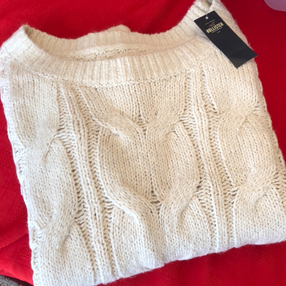 NWT Hollister Overszd. Crew  Long Sleeved SweaterL